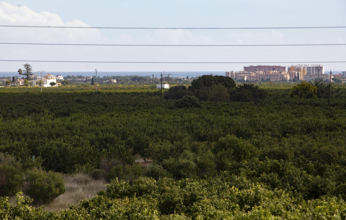 Terrenos de Montíber donde están previstas las plantas.