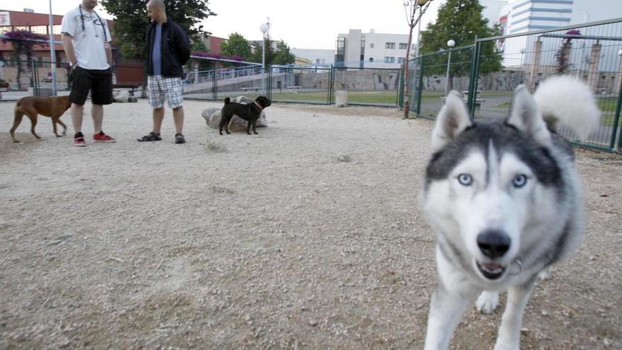 Dos propietarios pasean a su perro en un parque de Vigo // J. Lores