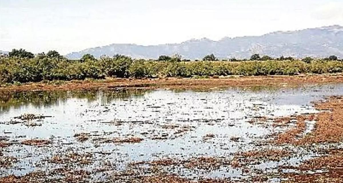 L'estany de Vilaüt.