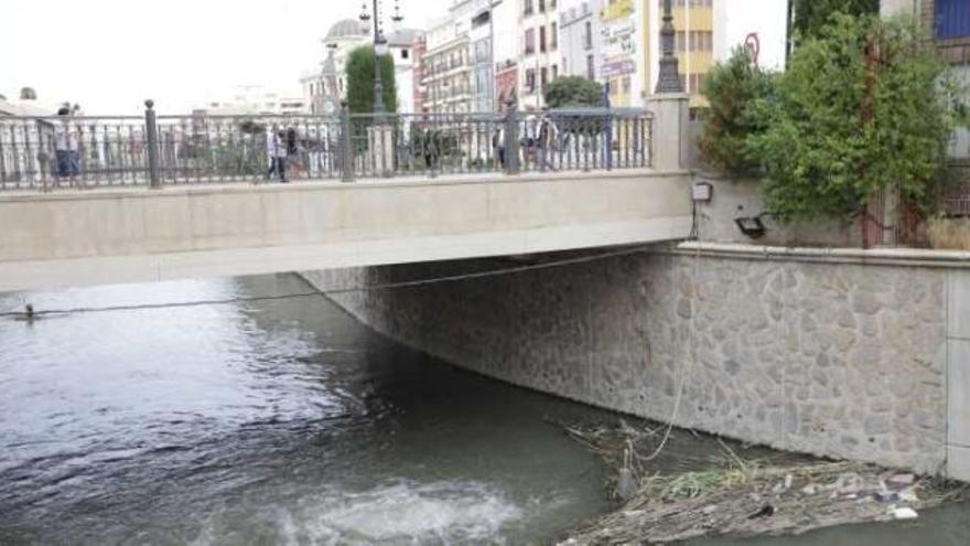 Imagen del río Segura a su paso por Orihuela ayer, con los lodos de los laterales sumergidos.