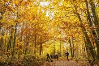 El turismo rural alcanza el 75% de ocupación en Extremadura y mira al puente con optimismo: "El norte de la región y las zonas de montaña tienen mucho tirón"