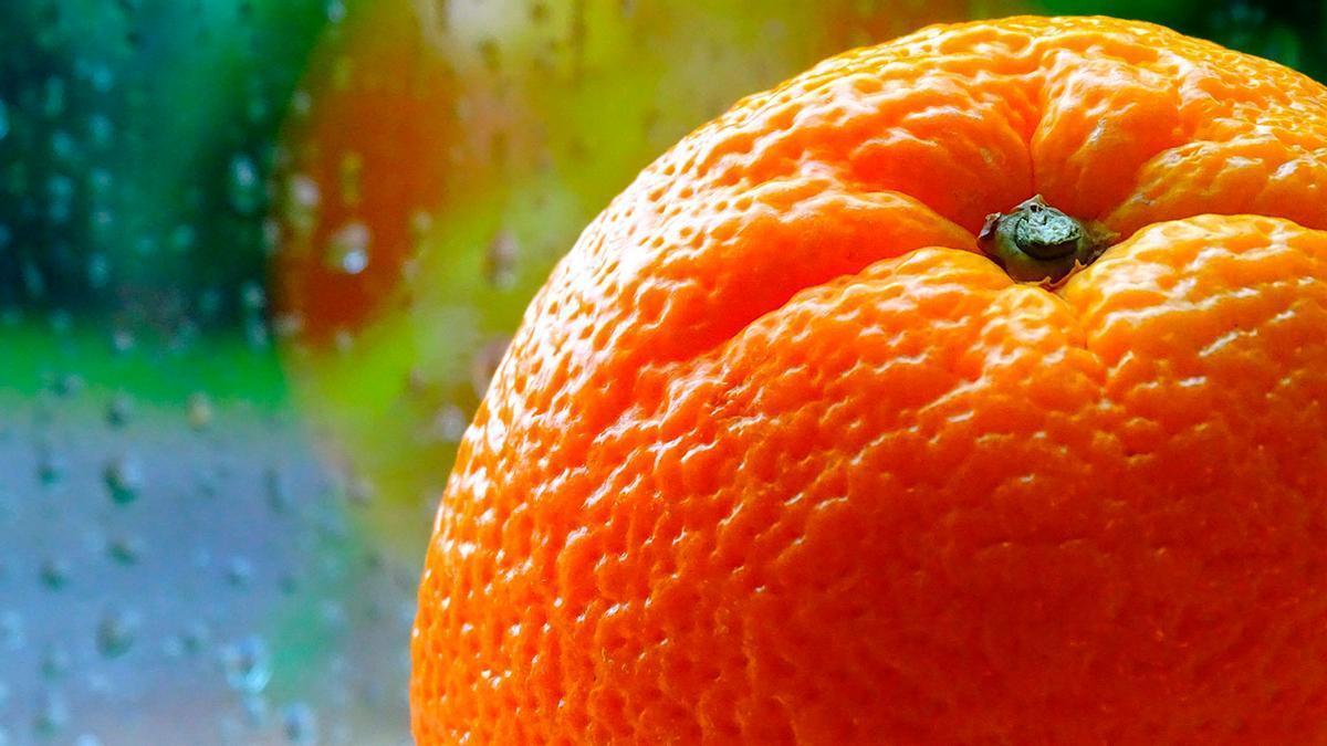 Piel de fruta en la ventana: el espectacular motivo por el que a gente deja estas cáscaras ahí