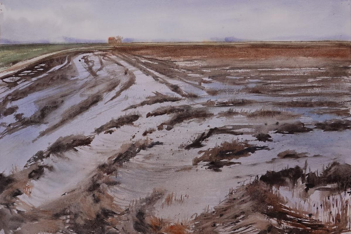 Paisatge arrosser de María García Calvo