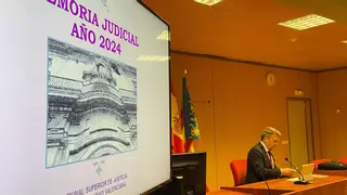 El presidente del TSJCV considera que la justicia estuvo "a la altura" tras la dana y garantiza el apoyo al juzgado que la investiga