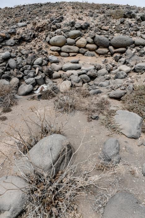 Recuperación de yacimientos arqueológicos en Telde