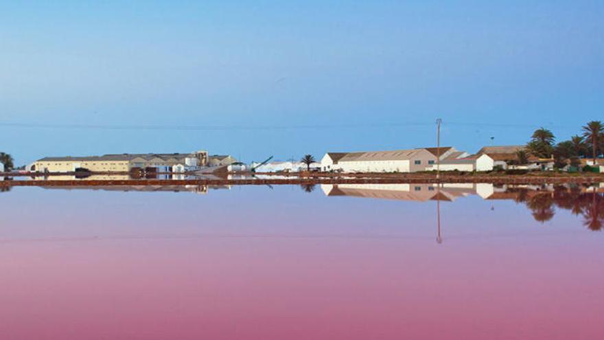 Las salinas de San Pedro venden casi 7.000 toneladas de sal gracias a Filomena