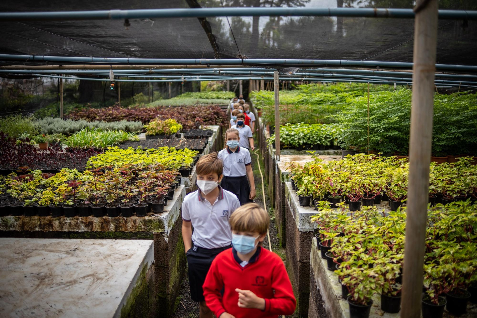 Visita a la fábrica de los jardines