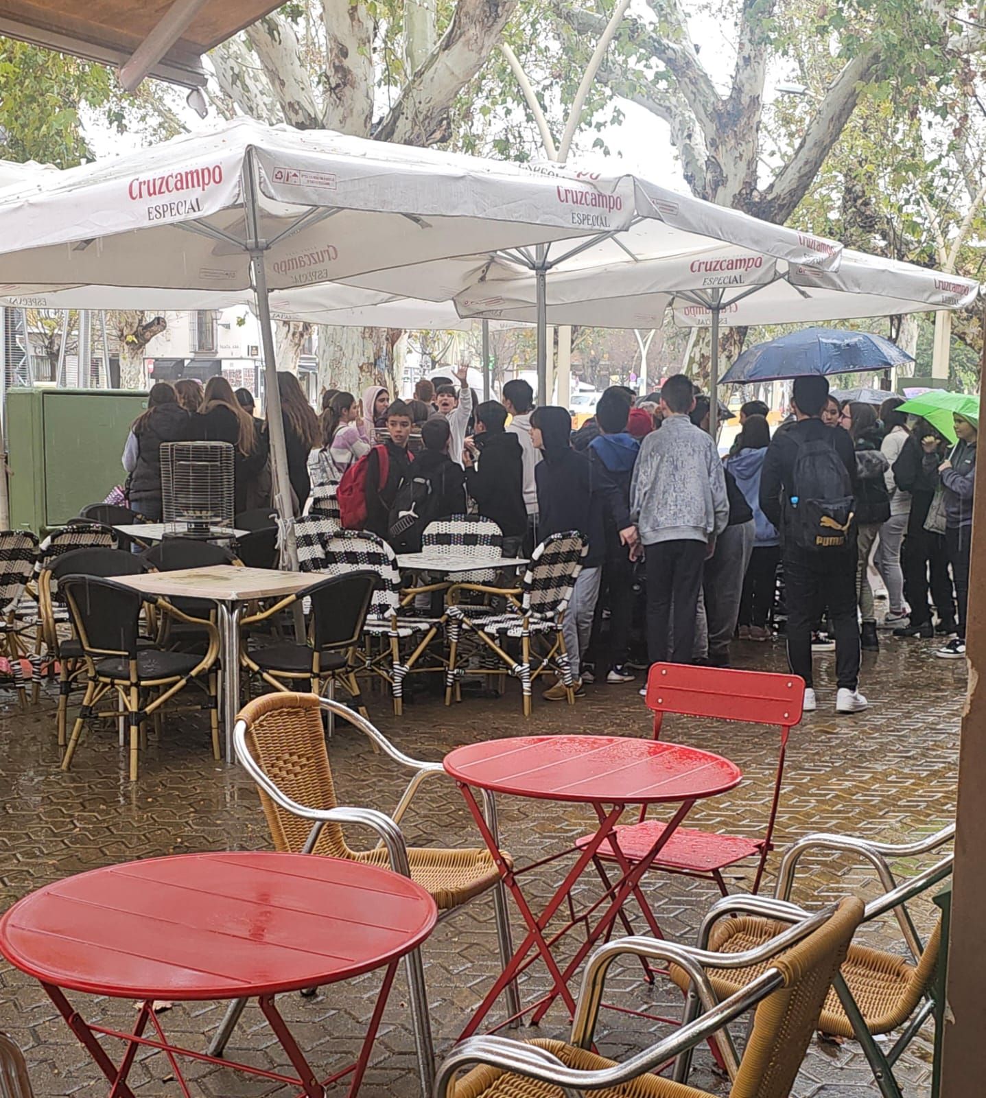 Imágenes del desplome de una carpa en la Alameda en Sevilla
