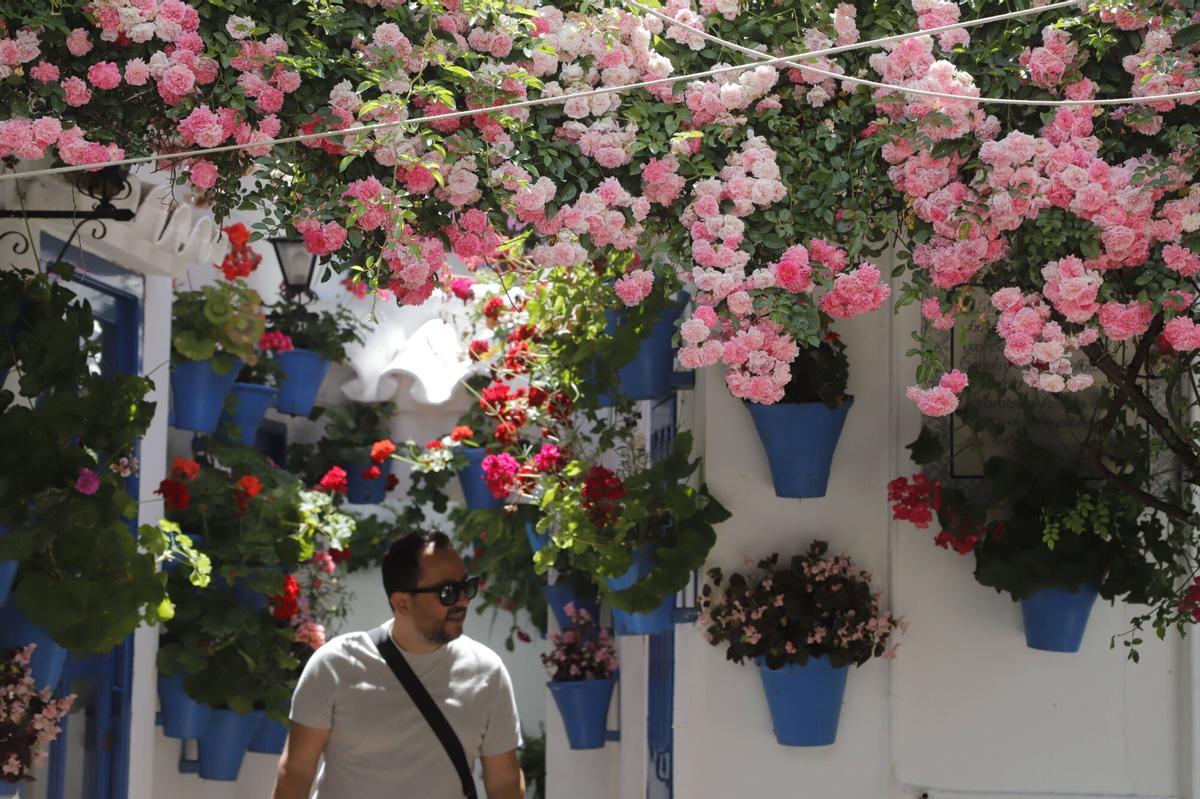 Once recintos institucionales abren sus puertas durante el concurso hasta el 17 de mayo Once recintos institucionales abren sus puertas durante el concurso hasta el 17 de mayo