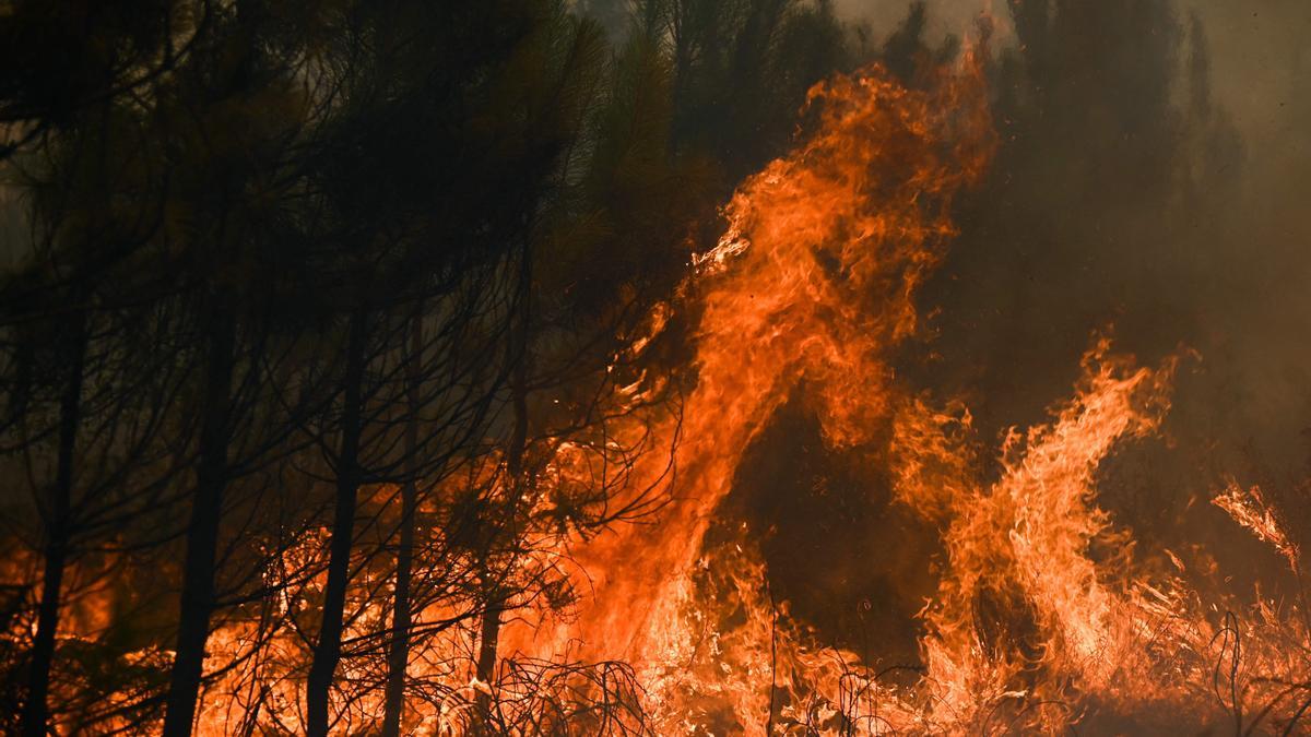 Incendios en Francia