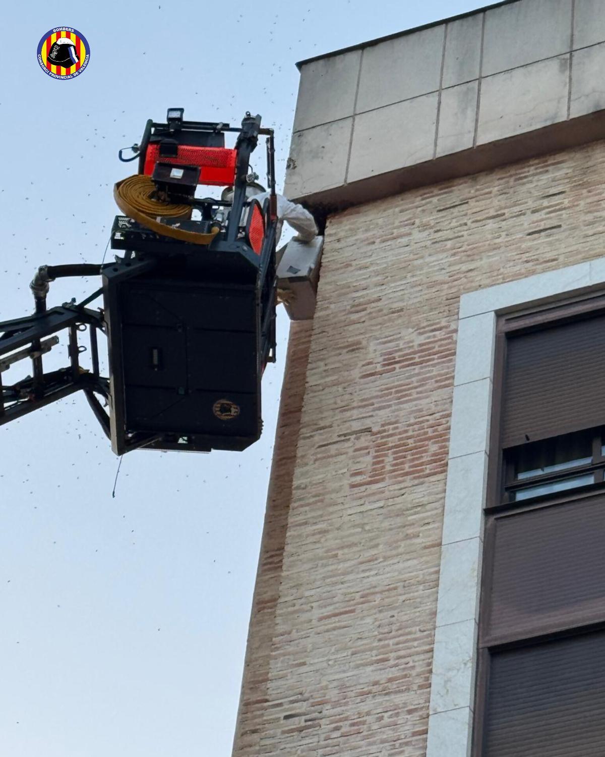 El enjambre de abejas estaba en el sexto piso de la residencia de ancianos de Albaida.