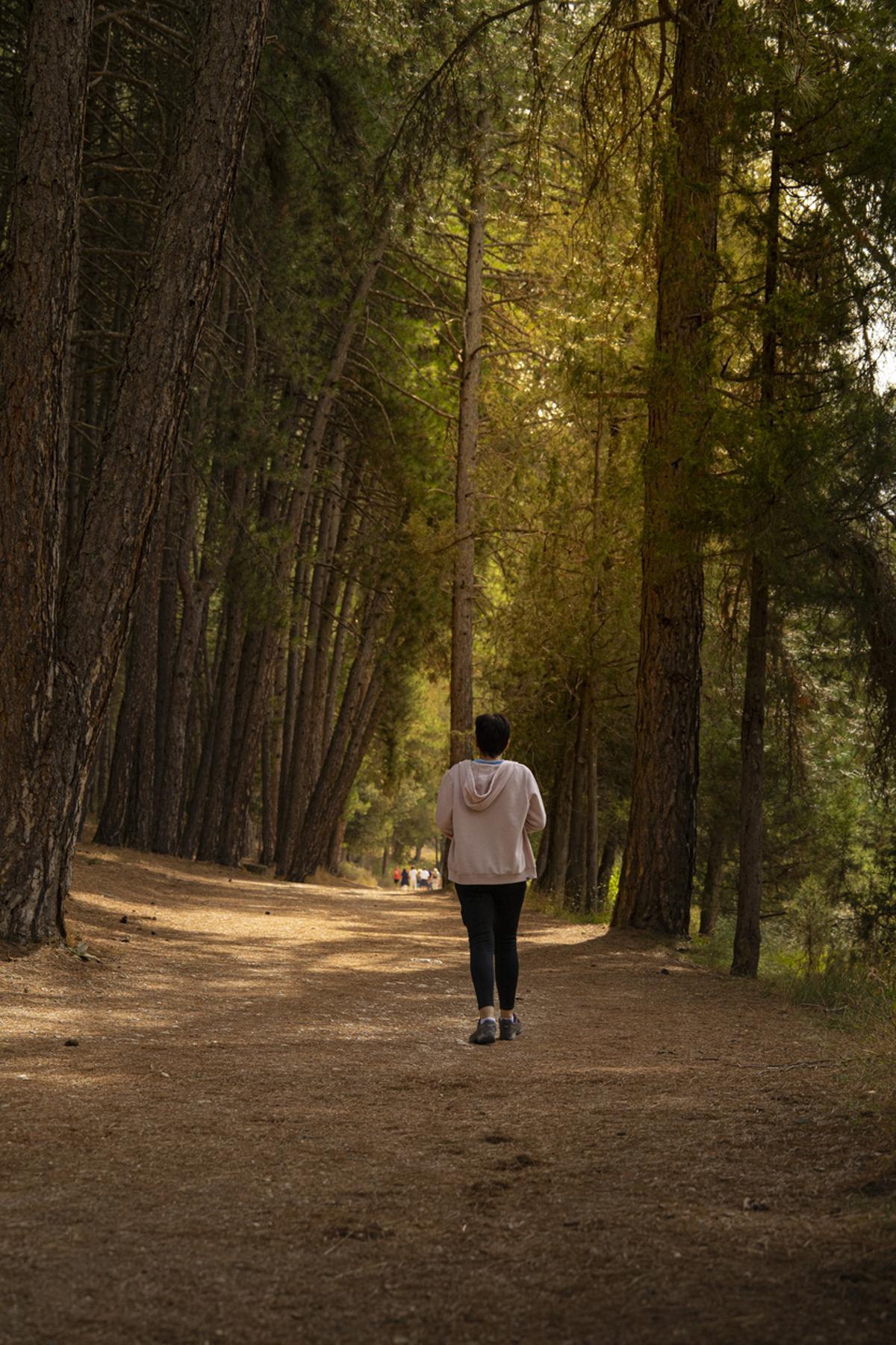Parque Natural de los Picos de Urbión, Soria