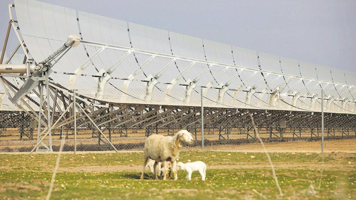 Imagen de una planta fotovoltaica muy próxima al término municipal de Córdoba.