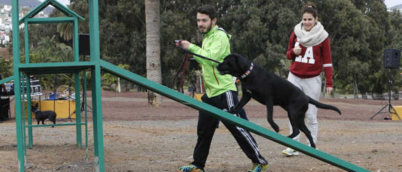 Perros de las dos provincias estrenan el parque de las Mil Palmeras de Jinámar