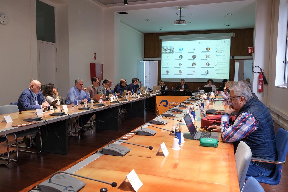 Sesión plenaria del Consejo de Gobierno de la Universidad de Las Palmas de Gran Canaria.