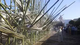 Comienza en Córdoba una nueva edición de Flora, el festival de la belleza efímera