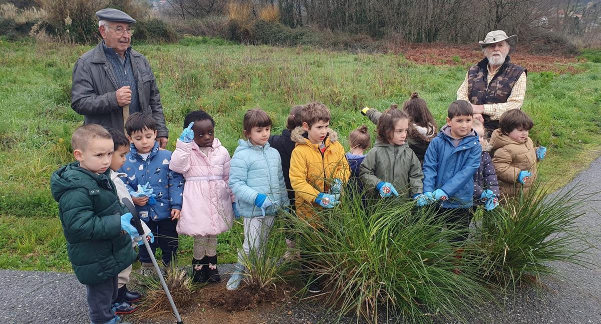 Alumnos de Bértola ayudan a limpiar  el río Toxal-Os Gafos | FDV