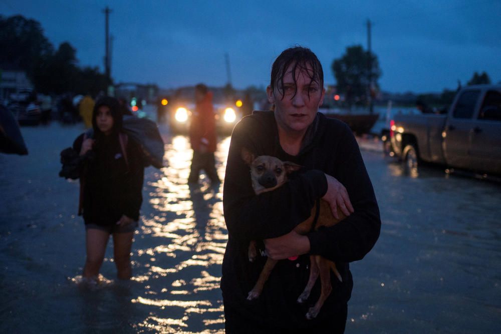 Consecuencias del huracán Harvey