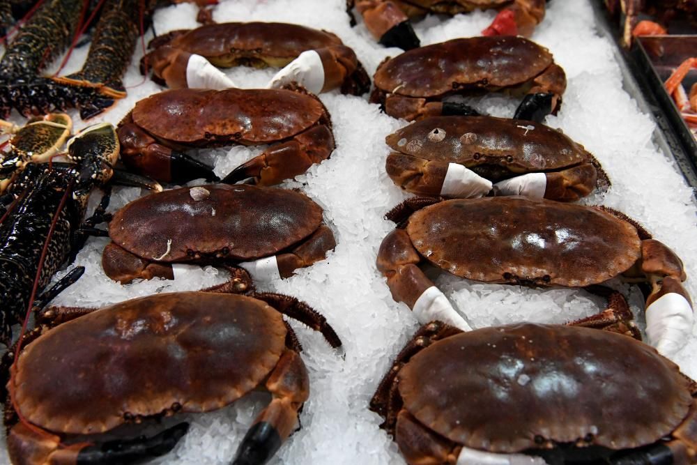 Percebes que alcanzan los 120 euros el kilo, cigalas, centollas, lubrigantes...