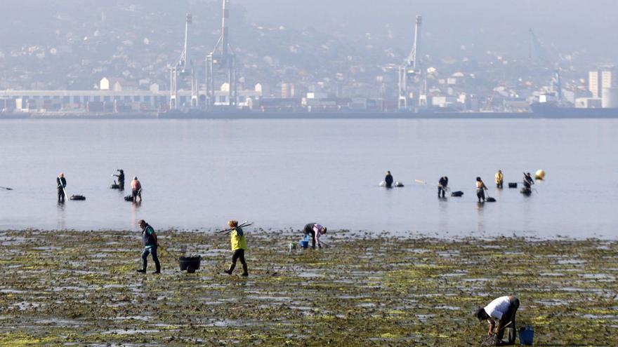 El Instituto Social de la Marina autoriza a las mariscadoras a limpiar desde hoy los bancos