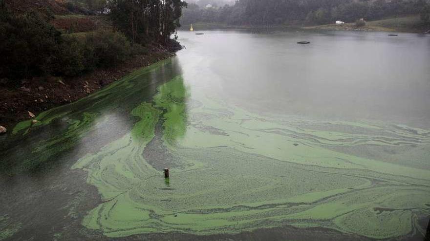 El acuerdo plenario busca una solución definitiva a la contaminación por cianobacterias. // Gustavo Santos