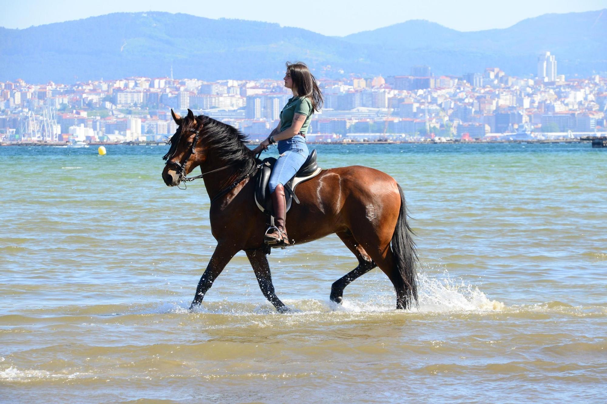 Una espectacular jornada a caballo por Moaña (I)
