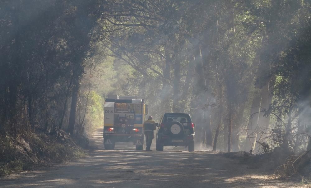 Waldbrand bei Puigpunyent