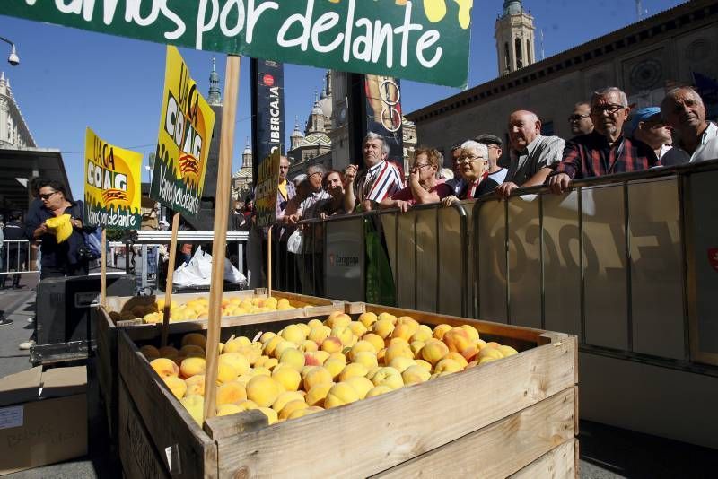 El sector reparte 4.000 kilos de fruta en la Plaza del Pilar