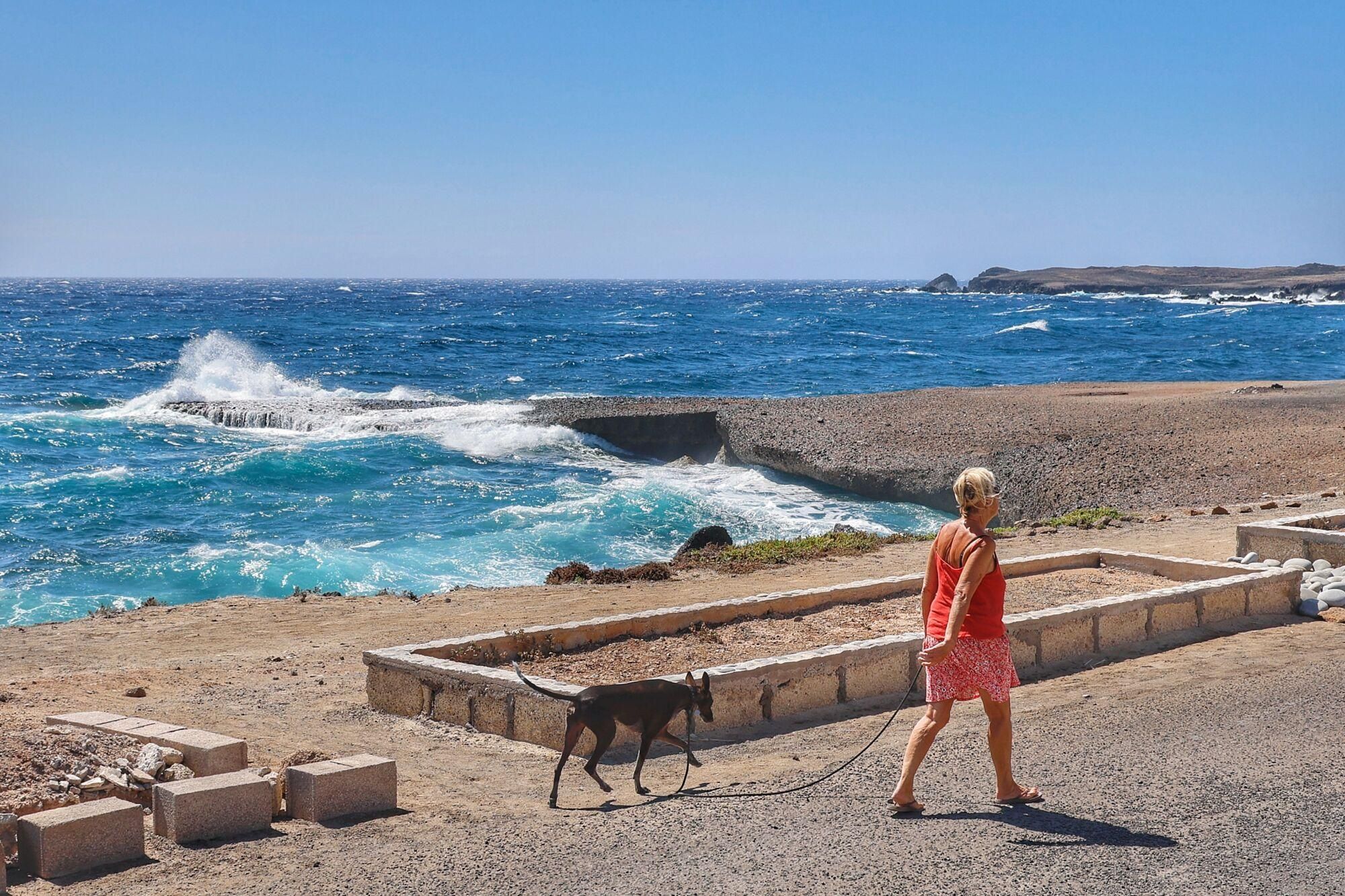 Jornada de viento en Tenerife