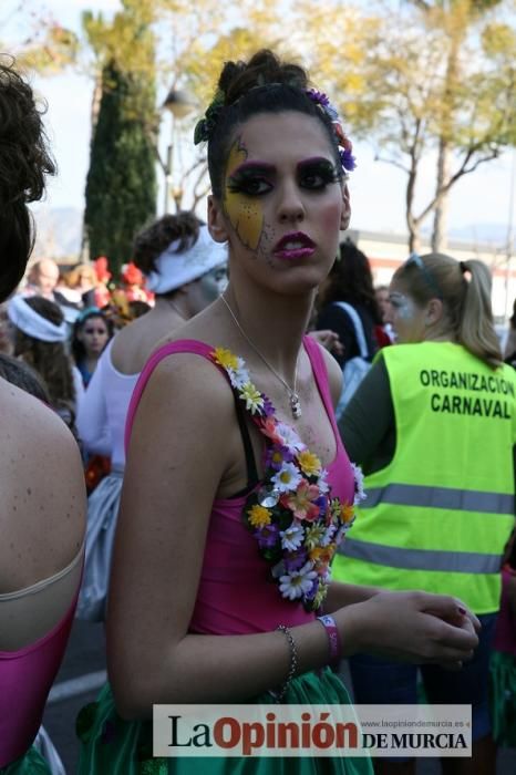 Desfile de Carnaval en Puente Tocinos (25-2-2017)