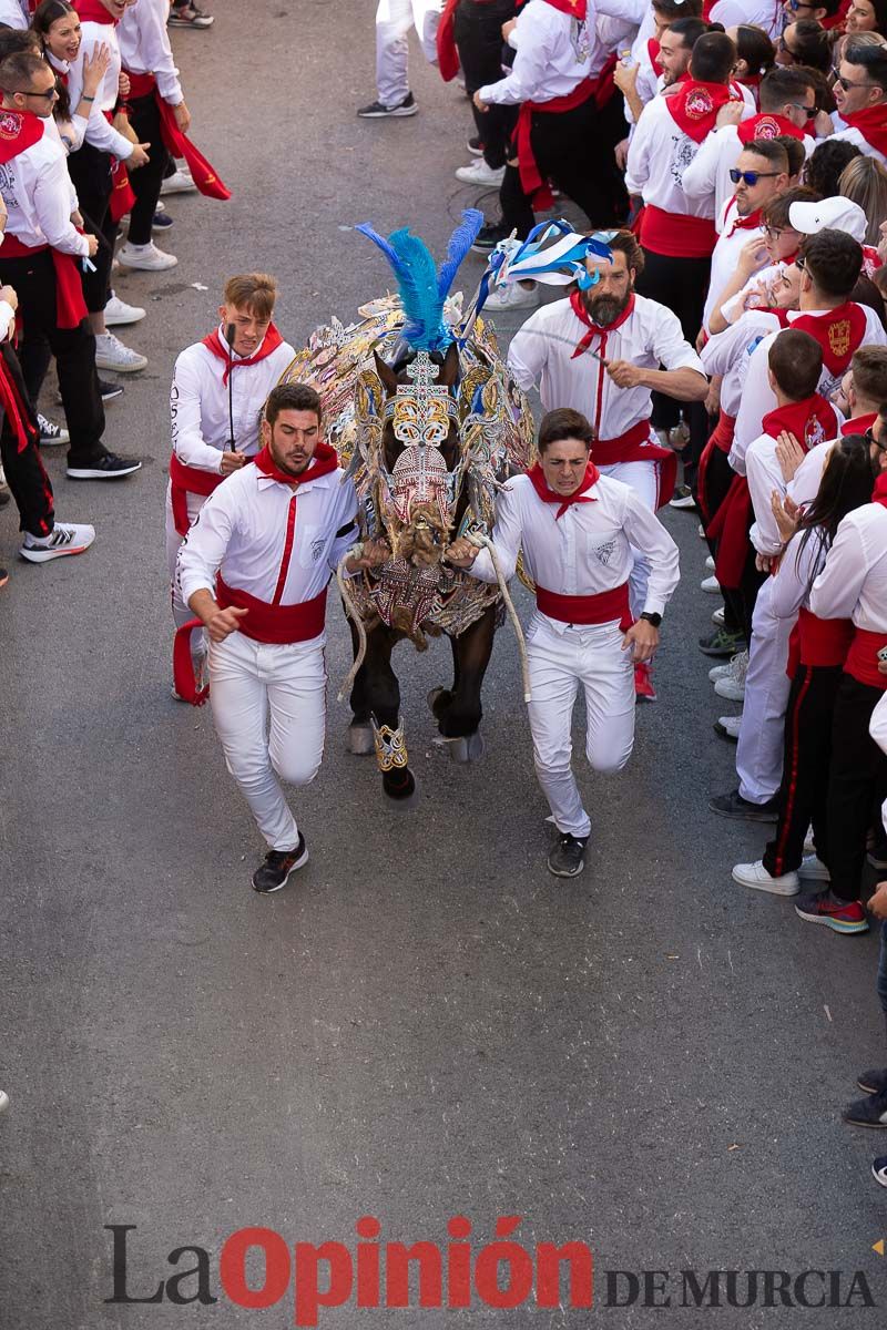 Caballos del Vino en la cuesta de la Simona