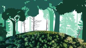 Multimèdia | Objectiu boscos: ¿És viable aconseguir boscos madurs?