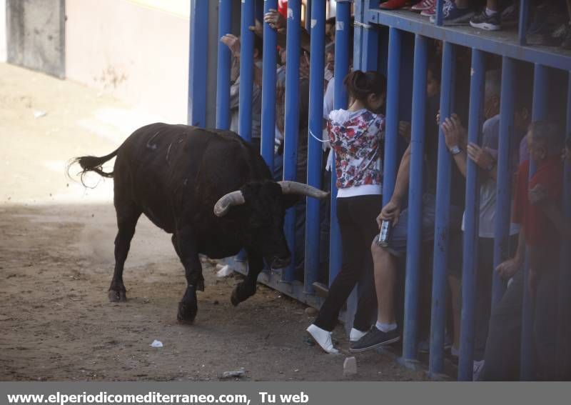 GALERÍA DE FOTOS -- Festejos en honor a Santa Quitèria