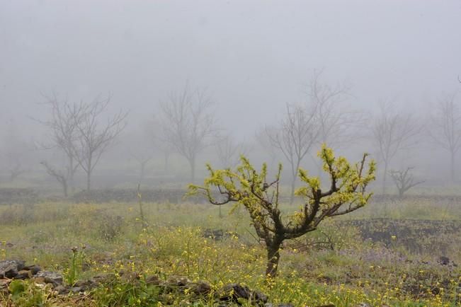 LLUVIA Y FRIO MEDIANIAS Y CUMBRE