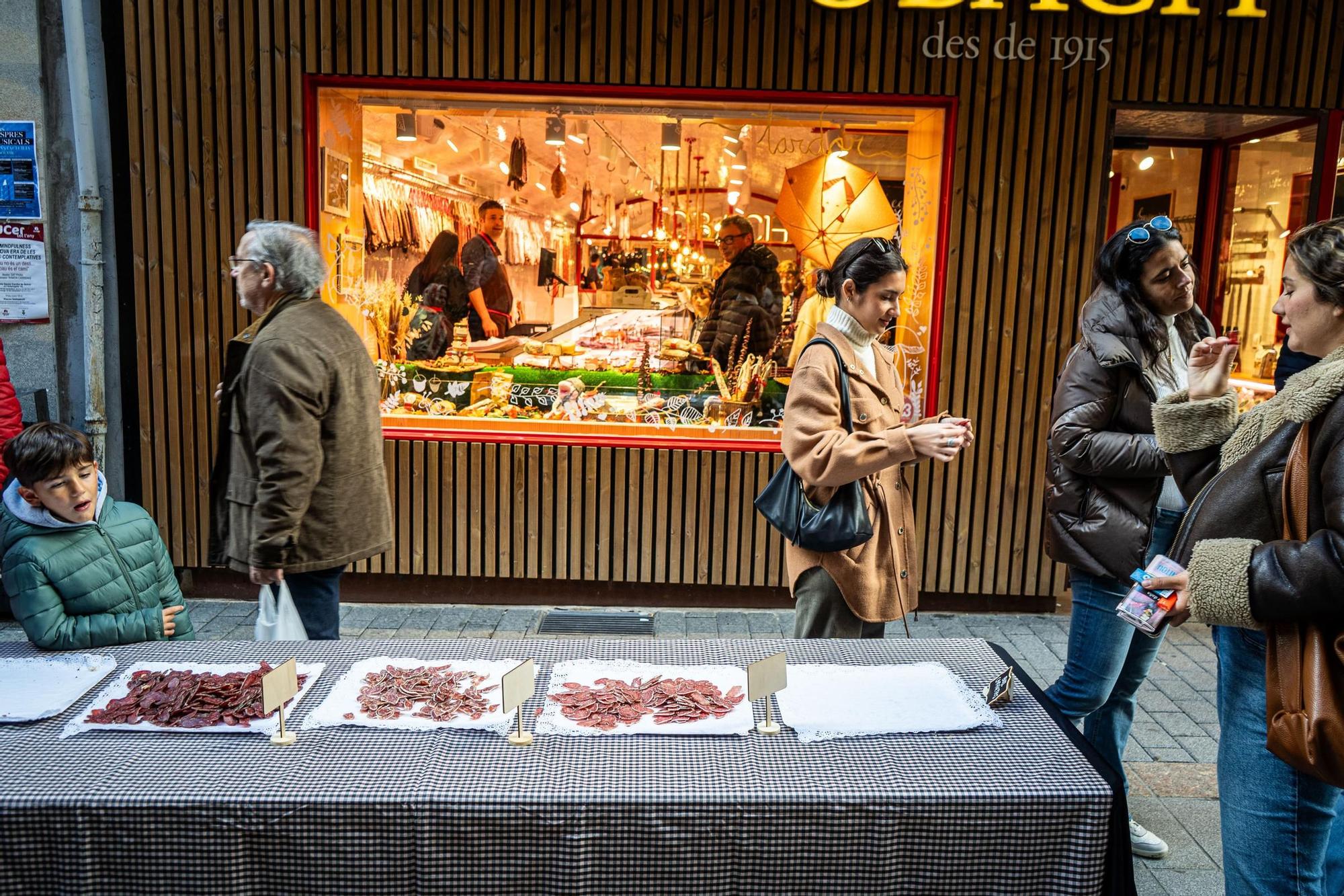 Totes les imatges de la Fira del Cavall de Puigcerdà