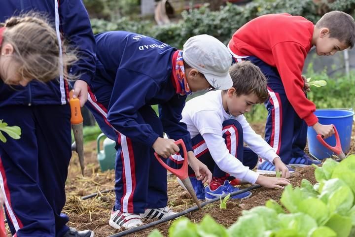 Visita escolar a la Granja Agricola del Cabildo