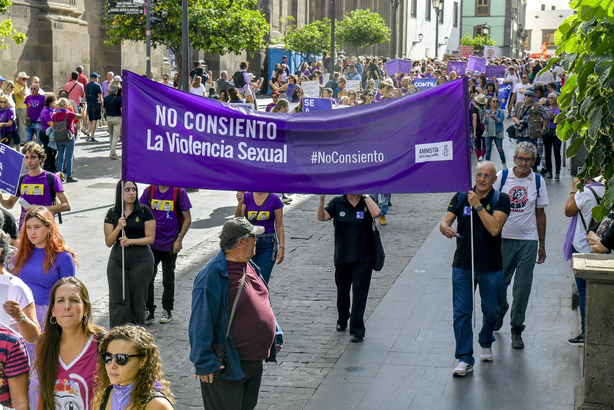 Manifestación del 25N contra la violencia machista