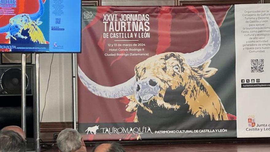 Las Jornadas Taurinas celebran su edición 26 en Ciudad Rodrigo. | E. P.