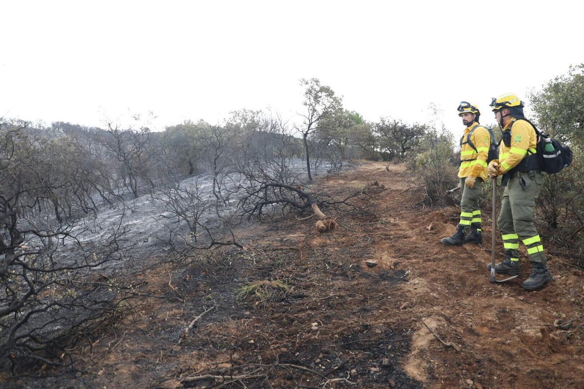 El Infoca trabaja en la extinción del incendio de Las Jaras en la sierra de Córdoba