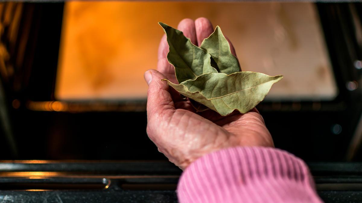 Poner una hoja de laurel en el horno: la solución definitiva que más gente copia