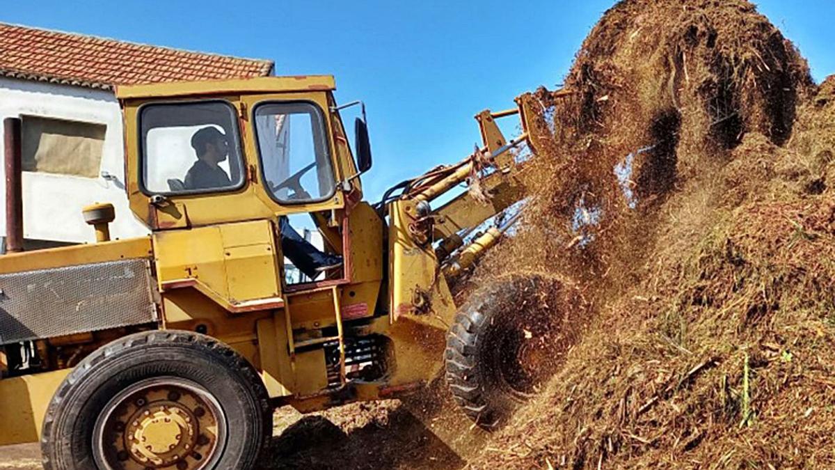 Trabajo en una planta de compostaje. | | E.D.