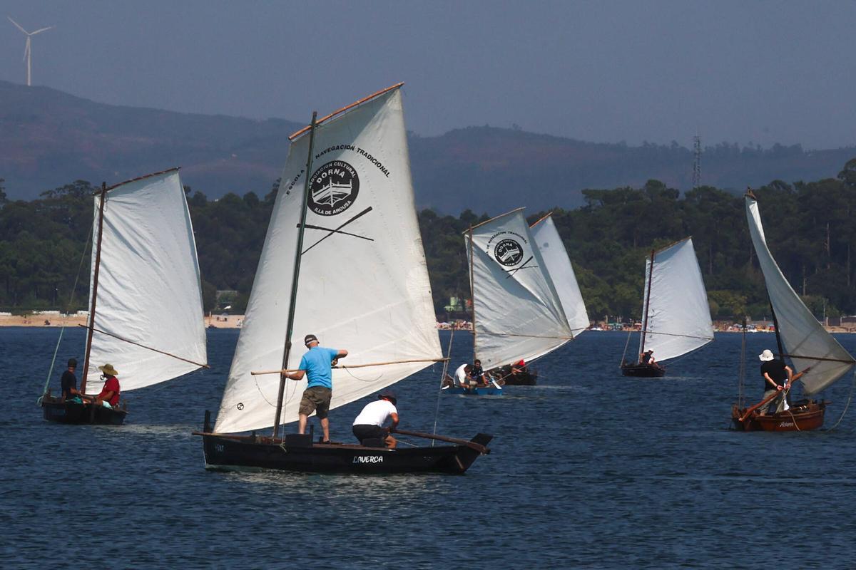 Varias dornas de A Illa navegando por la ría de Arousa