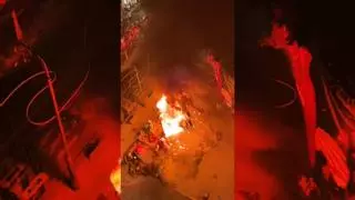 El ficus de Calvo Sotelo en Alicante se vio afectado por la cremà de la hoguera