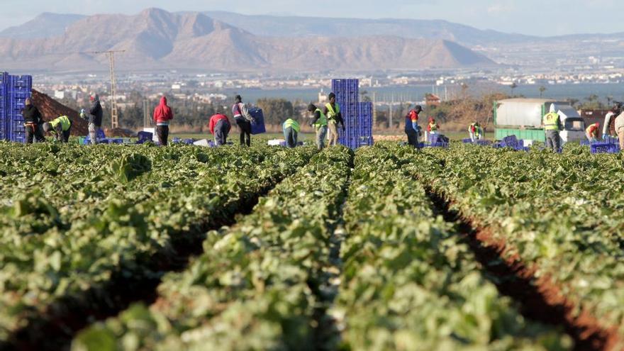 Trabajadores inmigrantes en el Campo de Cartagena.