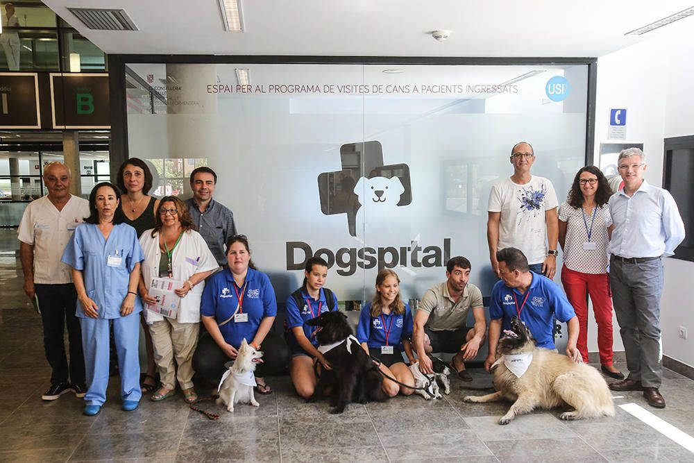 El hospital de Ibiza abre la puerta a los perros.