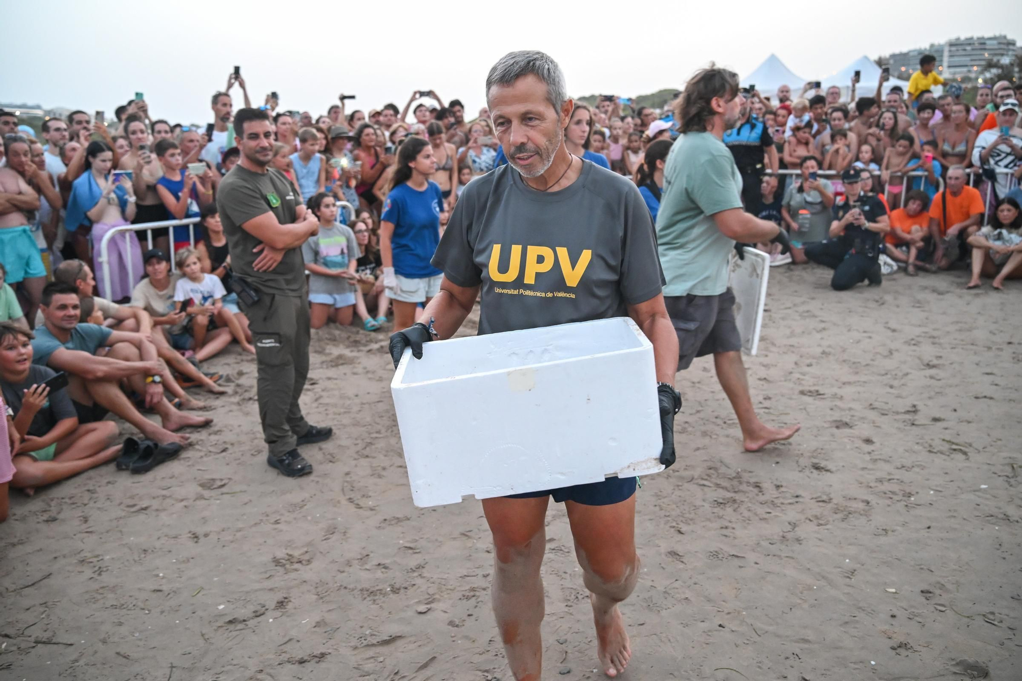 Gran expectación en Arenales del Sol por la suelta de 57 tortugas bobas recién nacidas