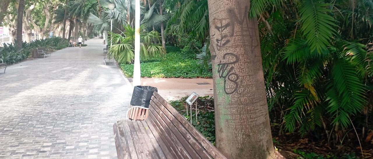 Detalle del ejemplar vandalizado, asomado al Paseo de los Curas.