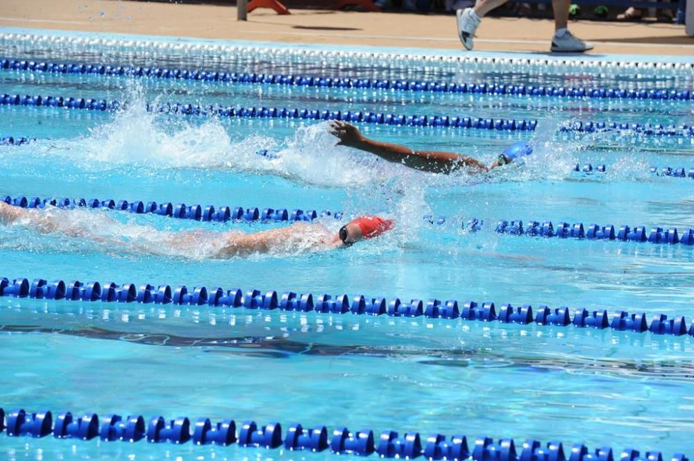 Trofeo Ciudad de Murcia