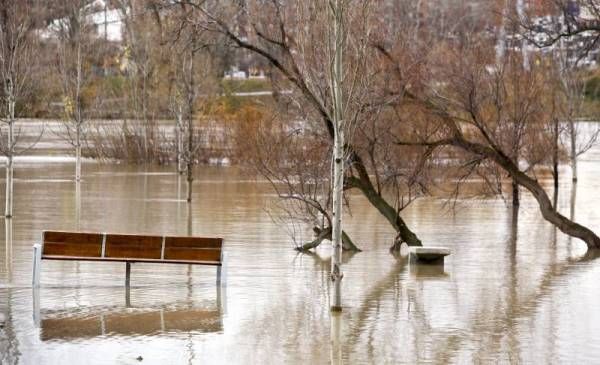 Fotogalería: El Ebro crece a su paso por Zaragoza