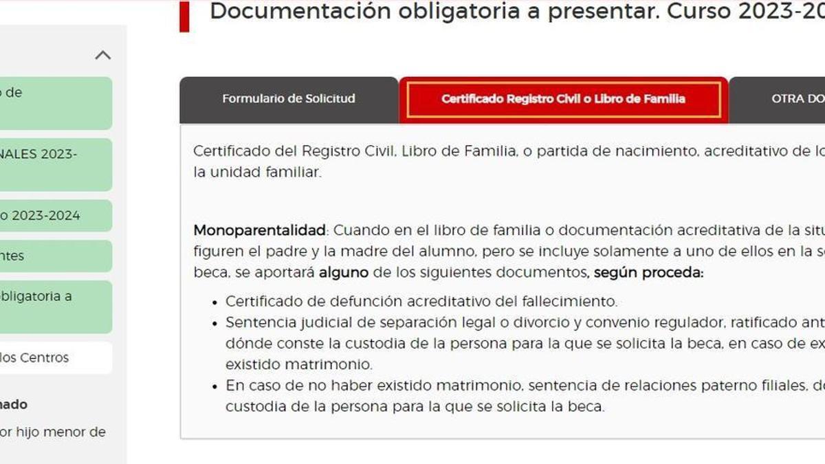 Requisitos de las becas comedor para las familias monoparentales.